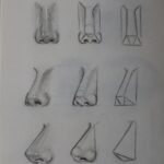 Steps in drawing a nose