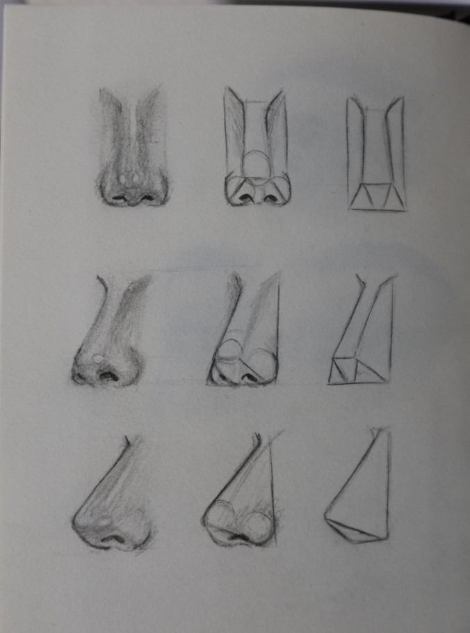 Steps in drawing a nose